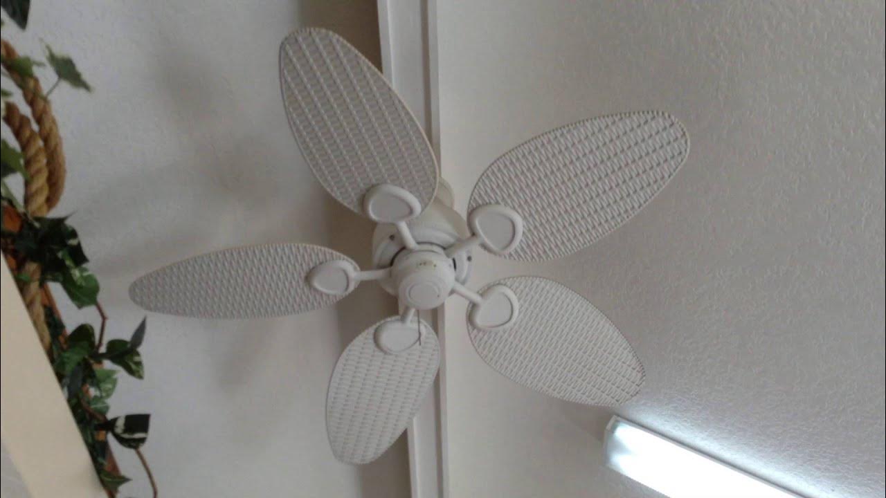 48" Hampton Bay Palm Beach Ceiling fan YouTube