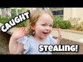 Our Toddler is a Thief! | Vlog #182