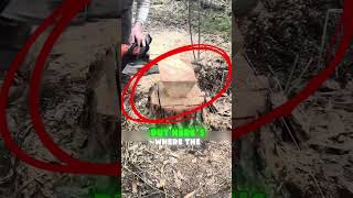 From Log to Stool in Minutes – Genius Woodworking Idea!