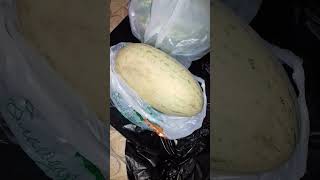 Гигантская Мусорная Дыня.