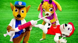 PAW Patrol Ultimate Rescue: Funny Chase Doctor Comedy | Paw Patrol Funny Action In Real Life