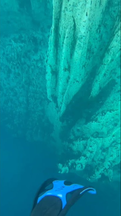 yang phobia perairan luas dan dalam jangan di tonton!!! #thalasophobia #deepsea #foryou #share #fyp