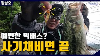 예민한 빅배스를 잡는 루어 로테이션, 장성호 배스낚시