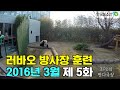 [PandaTV] Panda Lebao exploring the Everland enclosure in March 2016, 판다 러바오 2016년 3월 에버랜드 방사장 체험