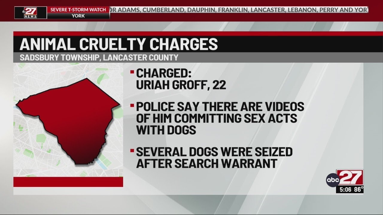 Lancaster County man charged with sexual intercourse with an animal ...