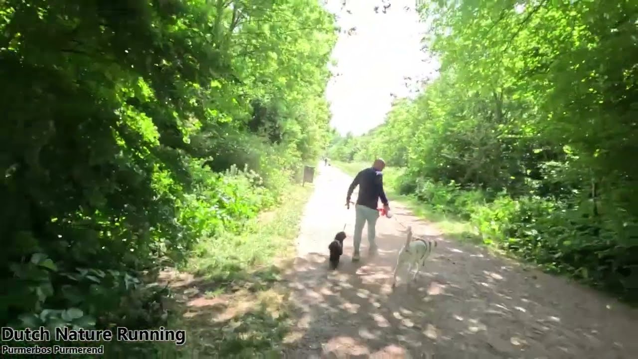 Purmerbos Purmerend - Virtual Treadmill Run
