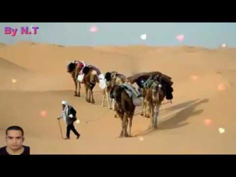 غريب وجالي هدية لكل متغرب وربي يرد غربته