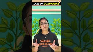 LAW of DOMINANCE?Mendel Law of Inheritance Class 10 | CBSE Class 10 Science Biology Cbse2024