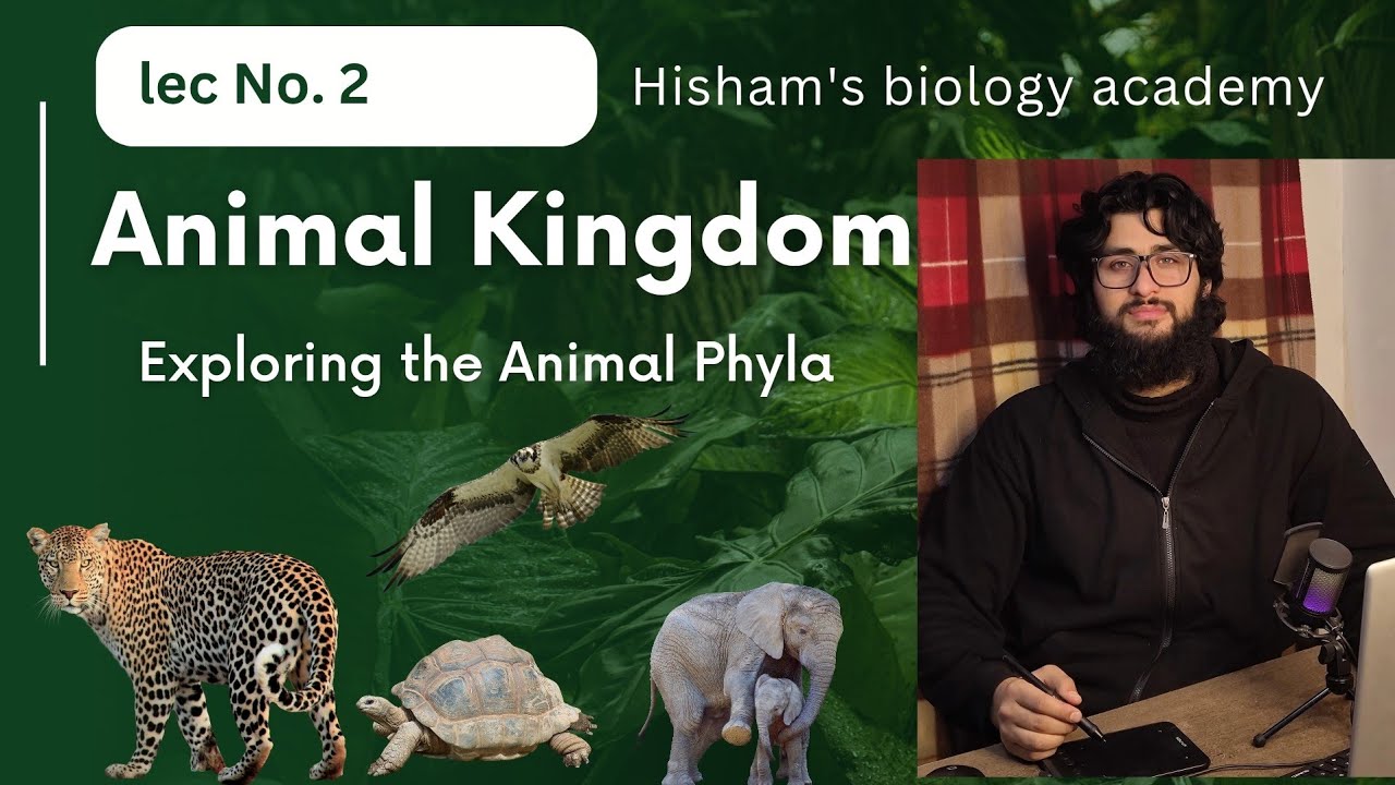 Animal Kingdom lec no. 2 NCERT Biology Line by Line for NEET Concept ...