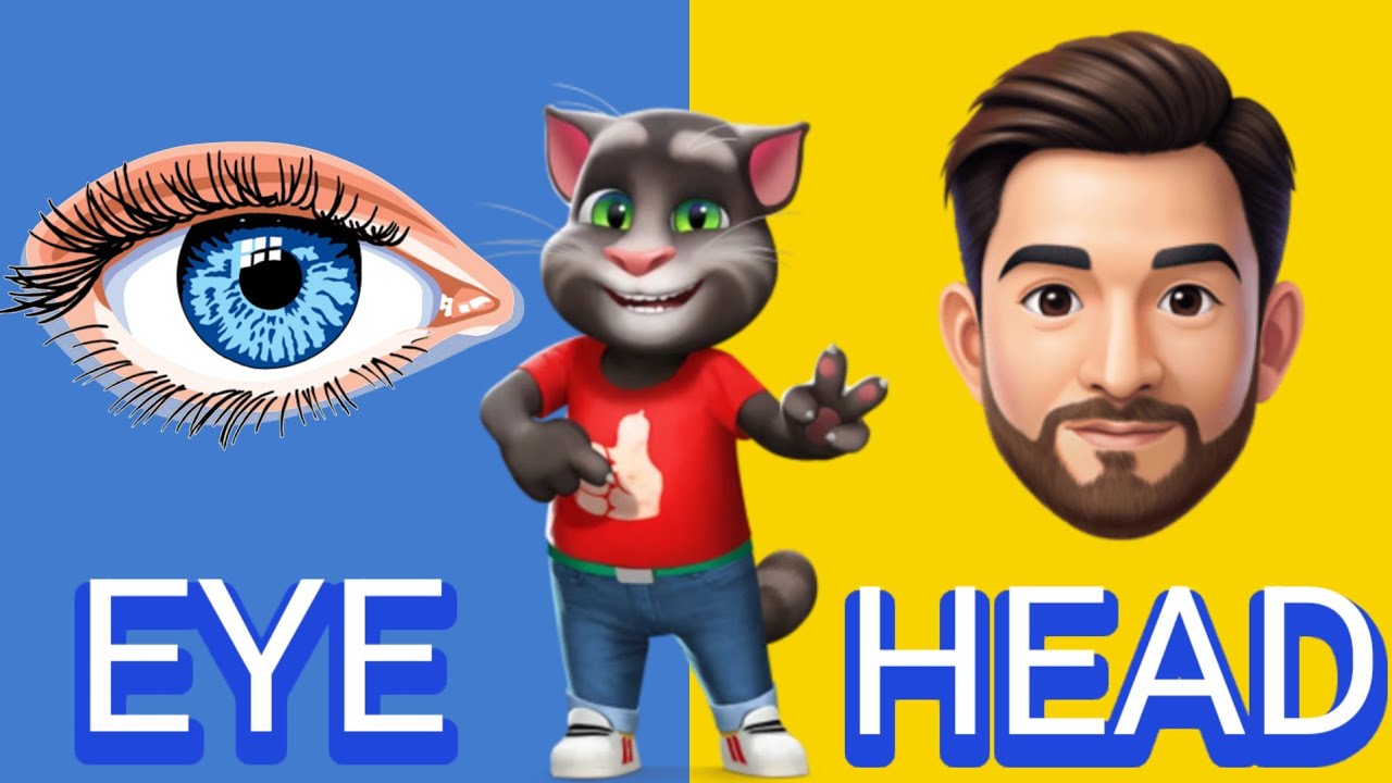 Parts Of Body Name For Kids 🧍| Top 30 Body Parts Name With Spelling | Kids Learning Video | RudraSN