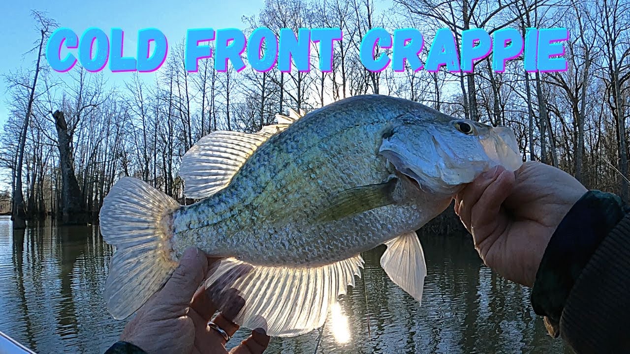 Crappie fishing just before a cold Front: Cold water Crappie