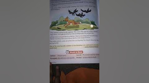 Class 1st, Moral Science, chapter 1, Be a Good Friend, part 1.(bachhaon,branch)