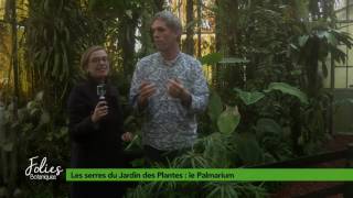 Folies Botaniques dans les Serres #5 : le Palmarium