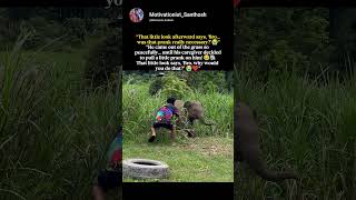 The Cutest Baby Elephant Jump Scare Ever! 🥹🐘  #funny #viral #memes #cute #shorts