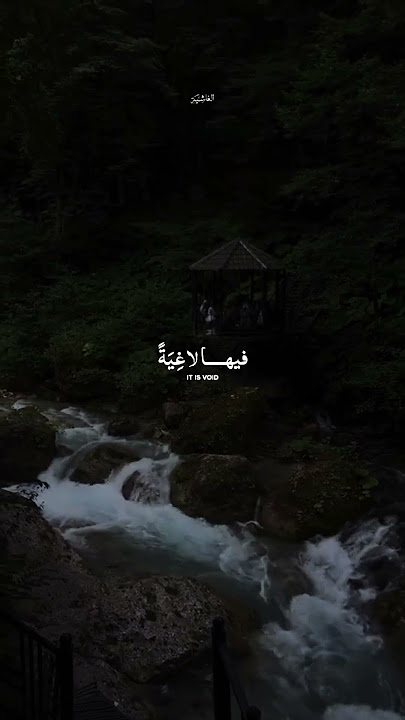 Relaxing quran recitation | #quran #islam