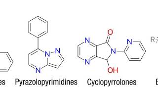 Nonbenzodiazepine | Wikipedia audio article