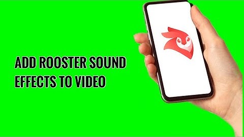 How to Add Rooster Sound Effects to Video on Videoleap