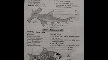 Biology 2nd paper practical||HSC 2022||Biology