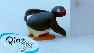 Pingu Gets Into Mischief  | Pingu  Official Channel | Cartoons For Kids