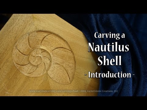 Carving a Nautilus Shell - Introduction