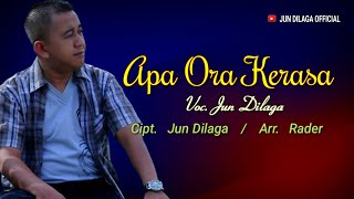 Lagu Tarling | APA ORA KERASA - Jun Dilaga (  Lyrics Video )