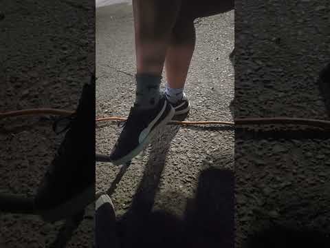 Socktendo Live Chat with Fans | ASMR Stream Let's have a late dinner (and shoeplay)