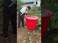 Physics Experiment Hose Siphon Liquid Splitting