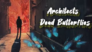 Architects  -  Dead Butterflies