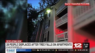 26 displaced after tree falls on Chesterfield apartments
