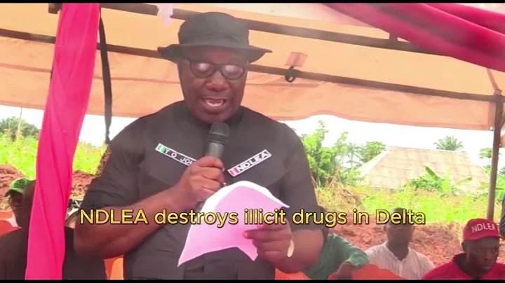 NDLEA destroys illicit drugs in Delta