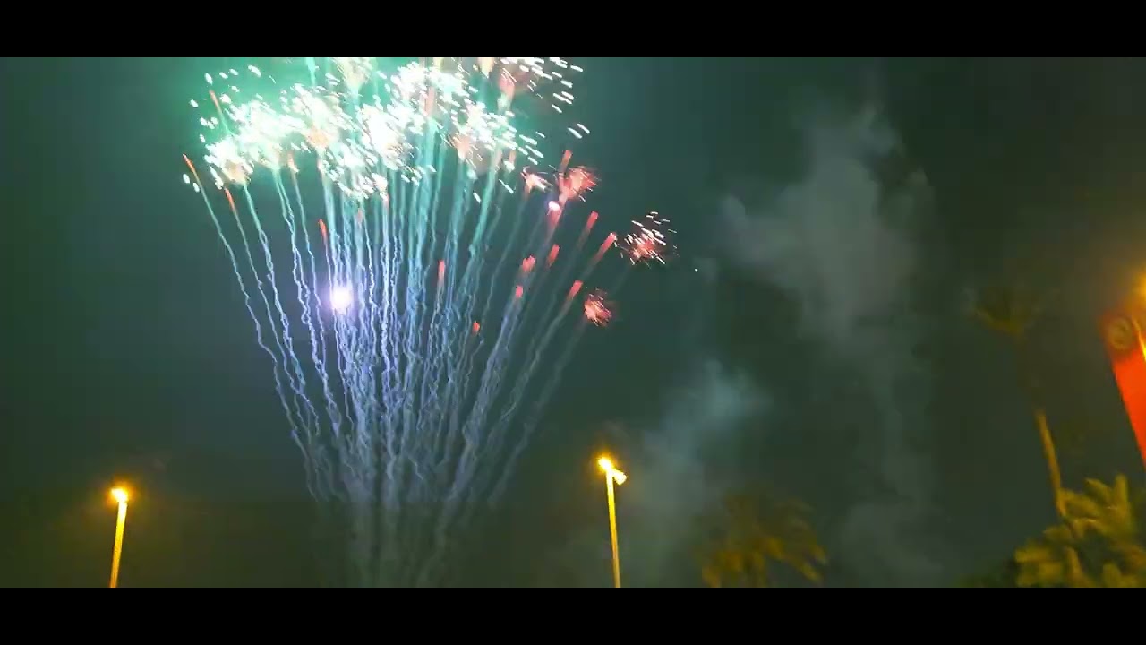 Nit de l'albà d'Elx 2024. Con la gran palmera final