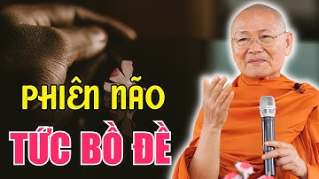 Phiền Não Tức Bồ Đề - Lời Dạy kinh điển của Đức Lục Tổ Huệ Năng Có Ý Nghĩa Gì? | HT. Viên Minh