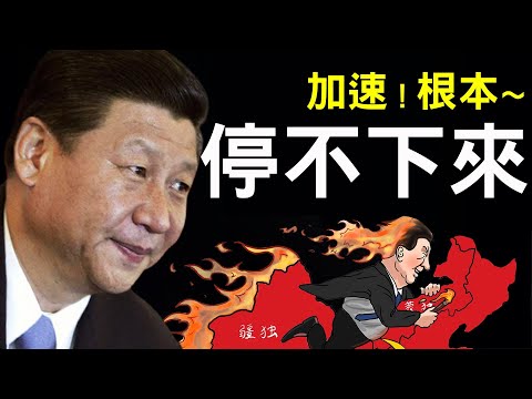 习近平加速彻底失控，根本停不下来！闫丽梦WTO内蒙古海南台湾日本美国助力，中共咋整？