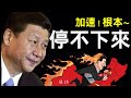 习近平加速彻底失控，根本停不下来！闫丽梦WTO内蒙古海南台湾日本美国助力，中共咋整？（老北京茶馆/第377集/2020/09/16）