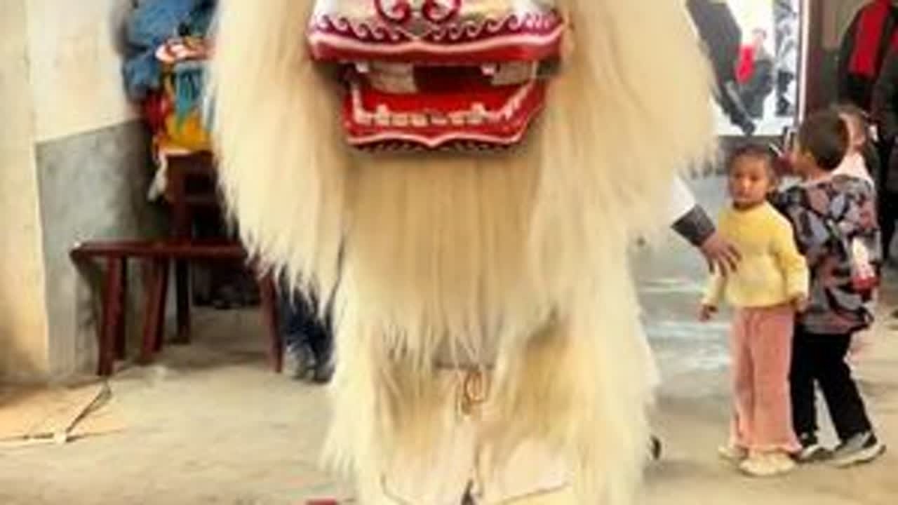 😭😭😭老秋小白狮感动全场#老秋舞狮团 #永州小白狮 #湖南小白狮 #民俗文化 #dou十小助手热门