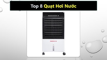 Top 8 Quạt hơi nước nào tốt nhất hiện nay