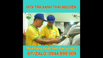 Đại lý chè Thái Nguyên |#shorts