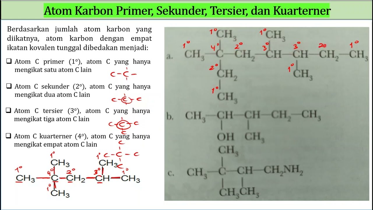 Penggolongan Senyawa Hidrokarbon dan Menentukan Jenis Atom Karbon Primer Sekunder Tersier Kuarterner