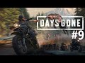Days Gone | Прохождение часть 9