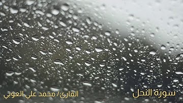 سورة النحل | "وَاللَّهُ أَنزَلَ مِنَ السَّمَاءِ مَاءً فَأَحْيَا بِهِ الْأَرْضَ بَعْدَ مَوْتِهَا.."