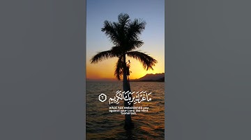 استخدموا الصوت 😁🖤#quran #المصحف #تلاوة_هادئة #راحة_نفسية #عبدالباسط_عبدالصمد #قران_كريم #قرآن