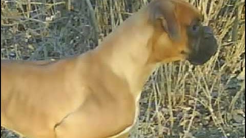 SÍVA VIDEO at One True Media   share slideshows, slide shows, MySpace slideshows, MySpace codes, free video sharing, video montages 