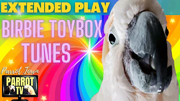 Birbie Toybox Tunes | Playful Happy Bird Music | 7HRS EXTENDED PLAY | Parrot TV for Your Bird Room🤹