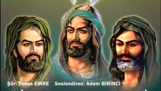 HASAN İLE HÜSEYİNDİR Resimi