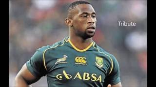 siya kolisi tribute springbok 7