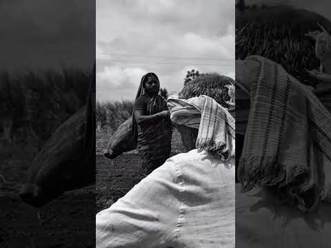 स्वतःच घर गळक असताना पण जो पावसाची आतुरतेने वाट बघतो तो शेतकरी असतो