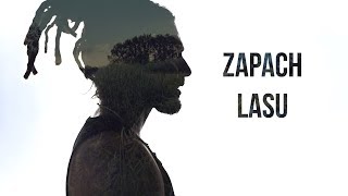 Mesajah - Zapach Lasu chords