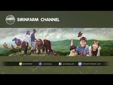 สิรินทร์ฟาร์ม | SIRINFARM CHANNEL Trailer