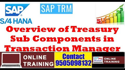 S4HANA Treasury Management|| Overview of Treasury|| Overview of Risk Management