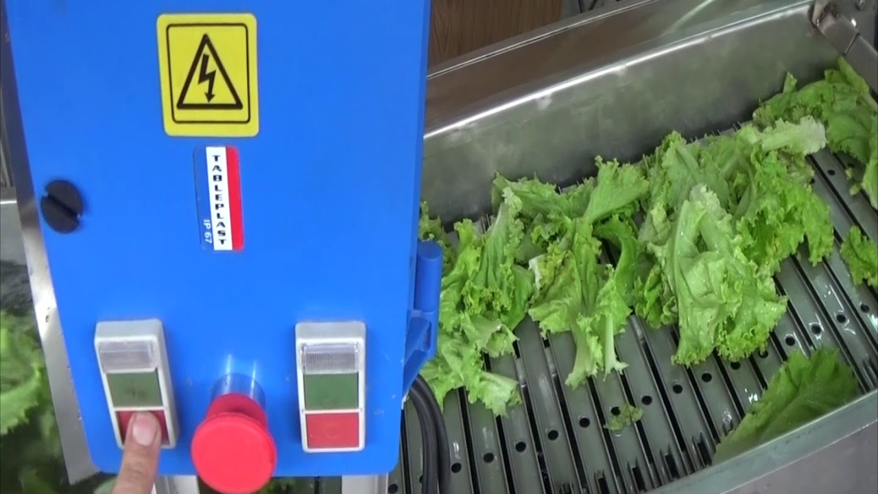 NUEVA LAVADORA DE VERDURAS Y FRUTAS 2018 - ARGENTINA (ROSARIO)